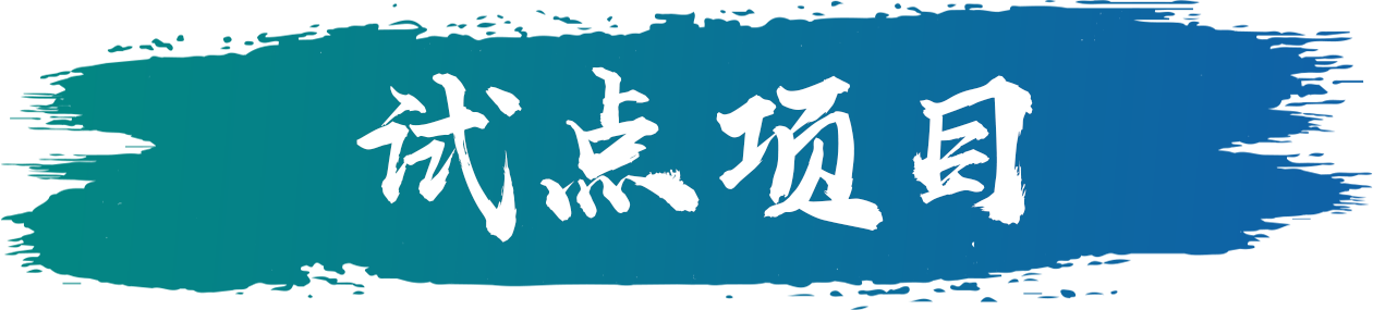 试点项目